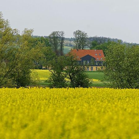 Landhaus Heidekrug Хилдесхайм Екстериор снимка