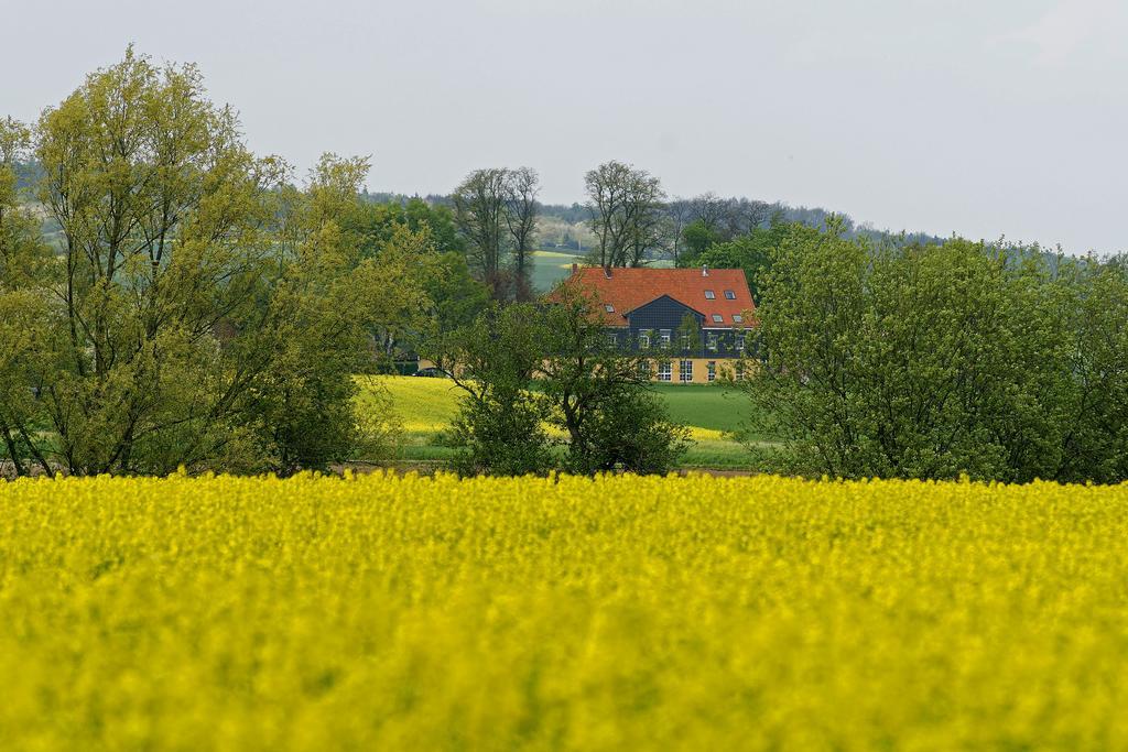 Landhaus Heidekrug Хилдесхайм Екстериор снимка
